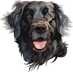 Black Labrador Retriever, cartoon style dog portrait on white background
