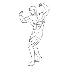 Bodybuilder graphic. Vector illustration image.