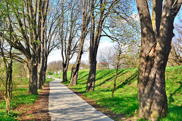 Pathway  for pedestrians and cyclists in a park in spring sunny day. Velo Dunajec cycling road in Nowy Sacz, Poland - obrazy, fototapety, plakaty