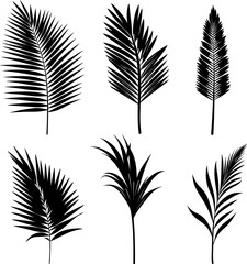 Obraz premium Set of black silhouettes of tropical leaves palms, trees. Vector. AI generated illustration.