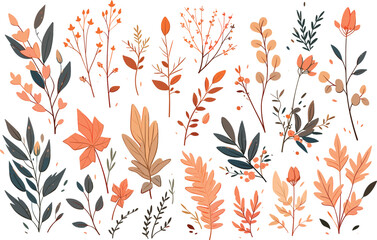 set of leaf collection vector illustration design nature, plant botanical element floral decoration graphic wedding art spring summer isolated 