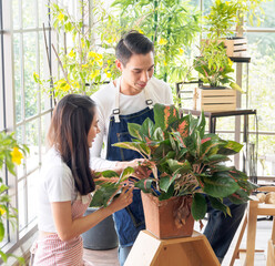 Portrait gardener young Asian man woman two person sit floor and smiling looking hand holding help decorate tree leaf green in calm work shop home plant white wall. hobby job happy and care concept