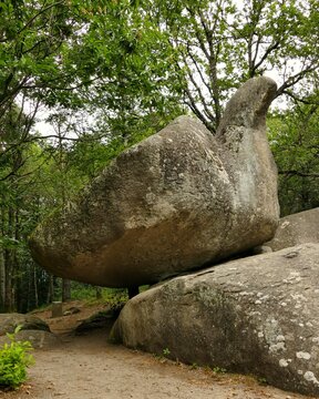 Rocher appel&eacute; &laquo; roc de l&rsquo;oie &raquo; dans le massif du Sidobre pr&egrave;s de Castres  