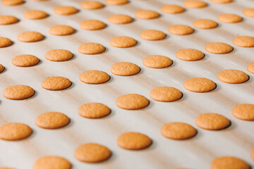Food industry factory, biscuit production on conveyor belt. Modern line for bakery cookies