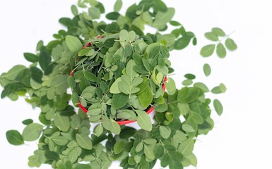 Top View of Moringa Oleifera Leaves or Drumstick Tree Leaves in a Red Bowl Isolated on White...