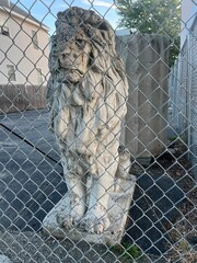 stone lion fenced