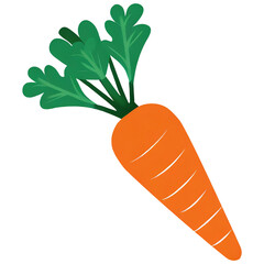 carrot isolated on white