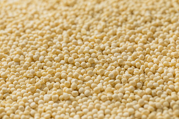 Organic Dry Large Couscous