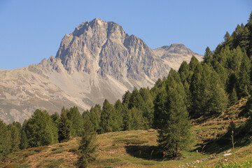 Bündner Alpenlandschaft; Blick von Südwesten auf den Piz Lagrev (3165 m), Albula-Alpen 