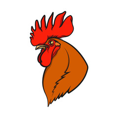 Color illustration with head rooster or cock. Isolated vector object on white background.