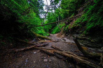 Chestnut Ridge Park Eternal Flame Falls