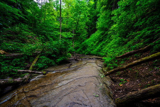 Chestnut Ridge Park Eternal Flame Falls