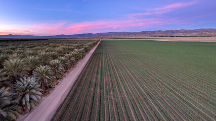 Aerial view of California farm at sunset with dramatic sky over the fields and mountains