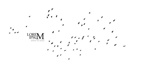 Flying birds silhouette flock. hand drawing. Not AI, Vector illustration