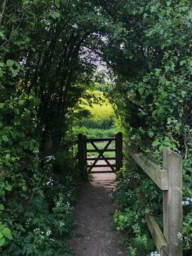 Gate to the field, British Countryside scene