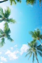Fototapeta na wymiar Blue sky and palm trees