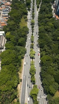 road in the trees