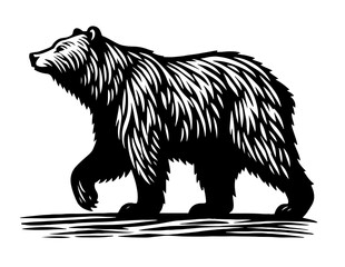 Bear Silhouette Vector