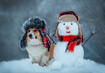 funny Christmas card with a corgi dog sitting in a warm hat in a winter snowy New Year's park with...