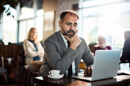 Middle aged man in formal suit using laptop in cafe or bar