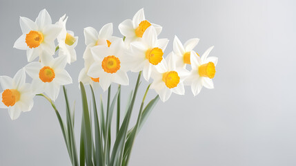 Spring bouquet of white daffodils on an isolated white background with copyspace, pastel colors.