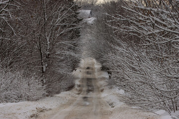 droga zasnierzona las zima drogwcy snieg galezie drzewa pora roku
