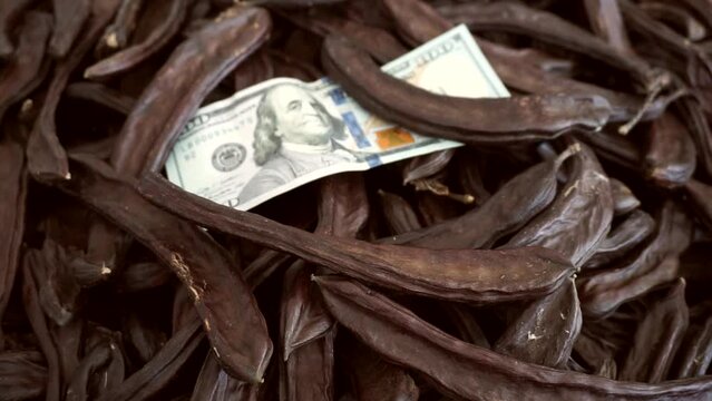 dried carob fruit, carob from forest fruits