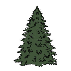 green christmas tree pine tree