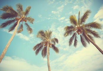 Three palm trees in a partly cloudy sky, slight color filter to lend to Summer vibe - obrazy, fototapety, plakaty