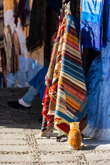 Cat next to a carpet display in a street in the medina of Chefchaouen, Morocco