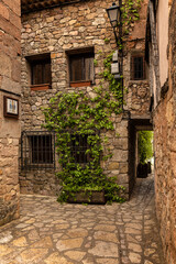 Fototapeta na wymiar Picturesque narrow street in the old town of Medinaceli with antique old stone buildings with climbing plants on the facade, Soria, Castilla y Leon, Spain