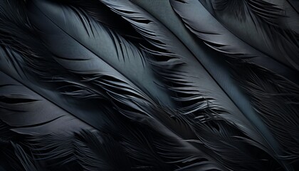 Intricate black feathers texture background with detailed digital art of big bird feathers
