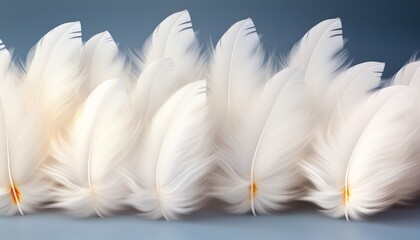 white feathers texture background  detailed, artistic depiction of large bird feathers