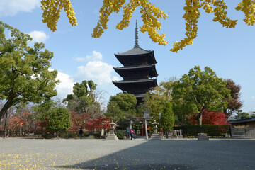 秋の東寺　五重塔　京都市南区