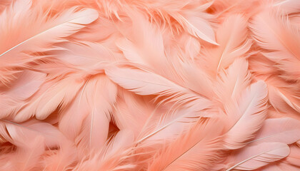 An abstract background of fluffy peach fuzz feathers that are delicate and dreamy in texture. 