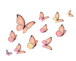 silhouette water color hand drawn