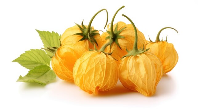 Yellow delicate Physalis flowers with leaves on a white background. Macro, close-up view. Beautiful background. Physalis lanterns. Healthy vegan superfood. A vegetable rich in vitamins