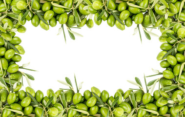 Green fresh olives on the white background