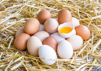 Many eggs lie on the background of hay, top view.