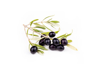 Fresh black olive on the white background