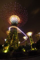 Singapore Supertrees in garden by the bay at Bay South Singapore during night