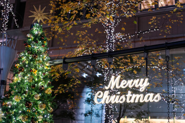 Fototapeta na wymiar 東京都千代田区丸の内のクリスマスイルミネーションの景色