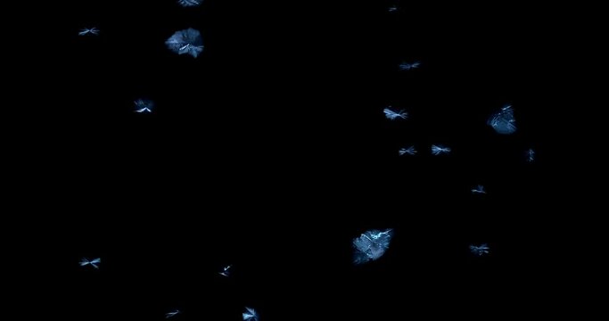 Winter window frost time lapse of frozen crystals or realistic frost snowflake pattern slowing forming on glass, cold winter background.