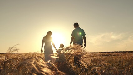 Silhouette of mother with father holding hands of funny daughter jumping over grass. Wife and...