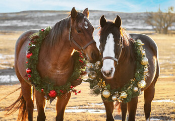Holiday Horses