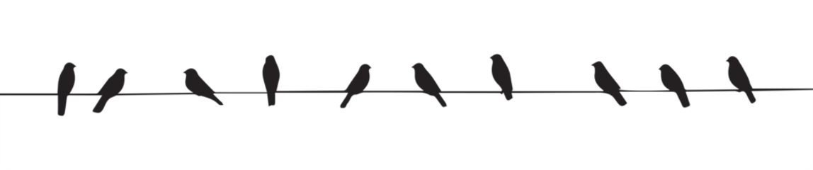 Fotobehang Birds silhouettes on power line wires. Vector on isolated background © Sophia
