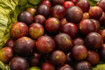camu camu fruits, Myrciaria dubia, exotic fruit from the Amazon that grows on the banks of rivers, it is highly appreciated for its flavor, it is considered the fruit with the most vitamin C