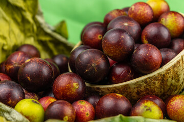 camu camu fruits, Myrciaria dubia, exotic fruit from the Amazon that grows on the banks of rivers, it is highly appreciated for its flavor, it is considered the fruit with the most vitamin C