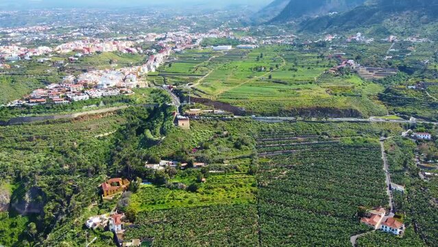 Aerial drone view of Los Realejos coast hills in Tenerife, Canary Islands, Spain.
