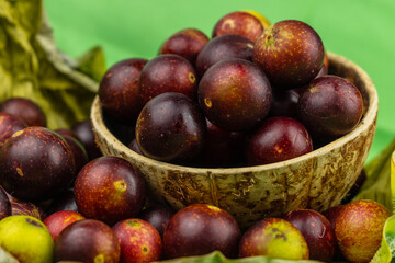 camu camu fruits, Myrciaria dubia, exotic fruit from the Amazon that grows on the banks of rivers, it is highly appreciated for its flavor, it is considered the fruit with the most vitamin C